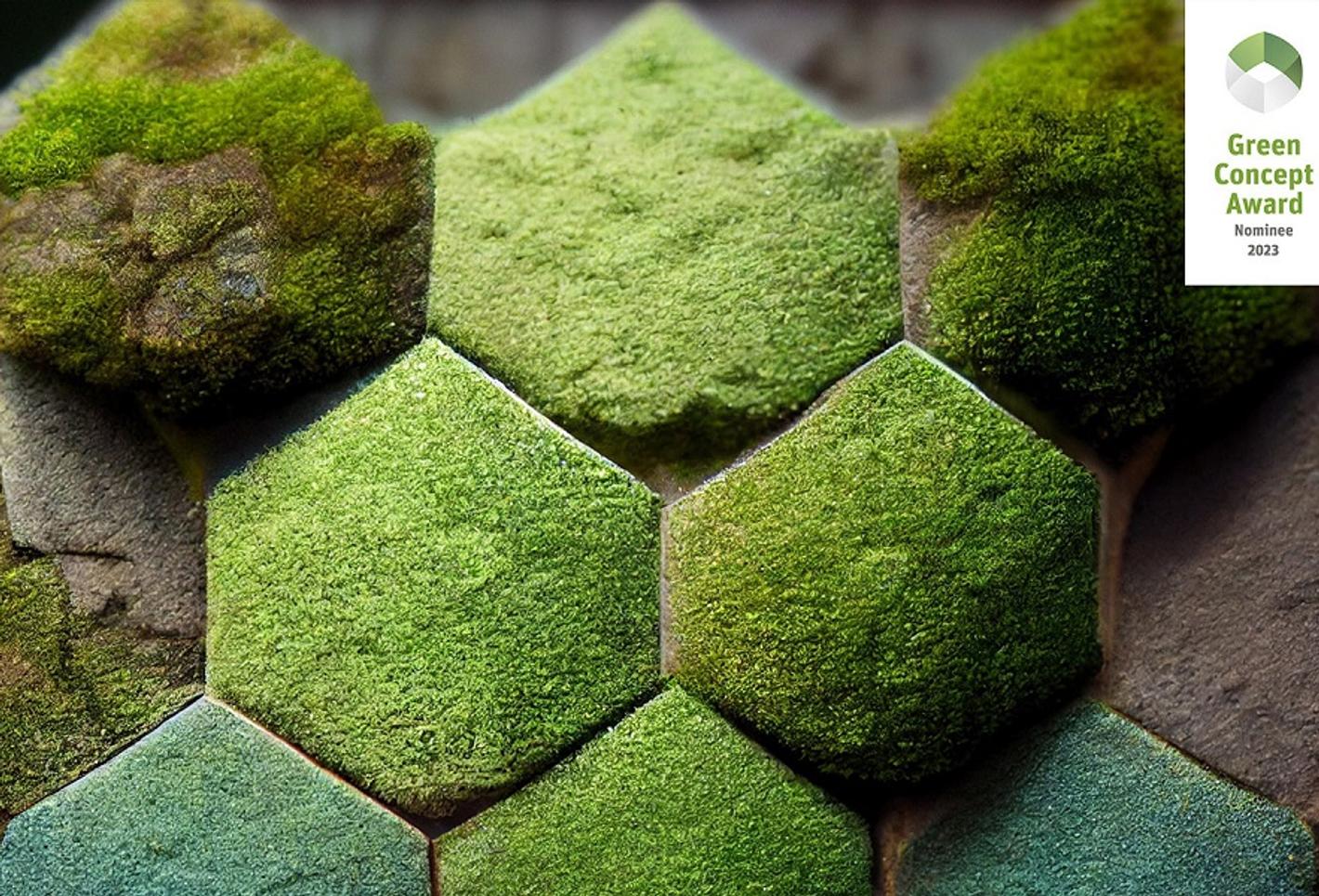 A picture of greenspace