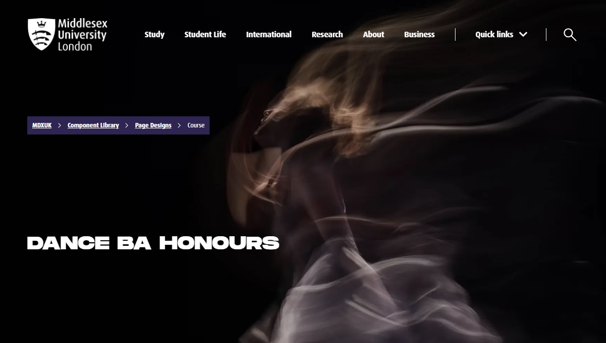 Screenshot showing course masthead example